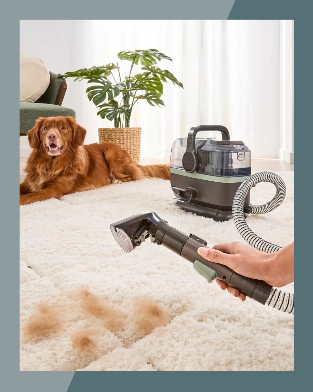 Multi-purpose spot cleaner $119, was $129 on 27/01/2026