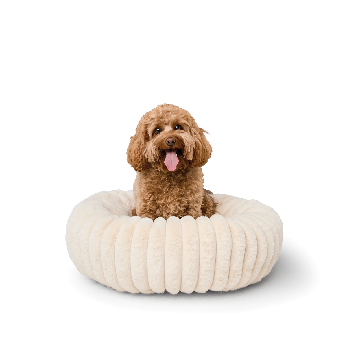 Shop Pet Beds