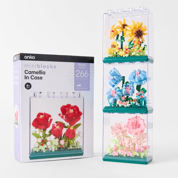 Assorted Mini Blocks flower in case $9ea.