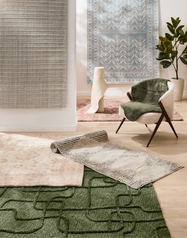 Shop rugs