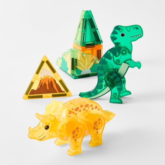 Magnetic dino set $14.