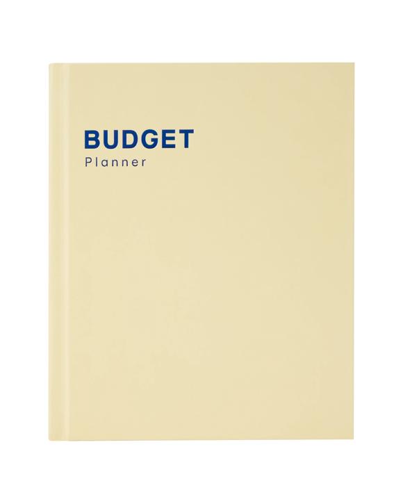 Journal Wellness Budget 100gsm 160 Pages