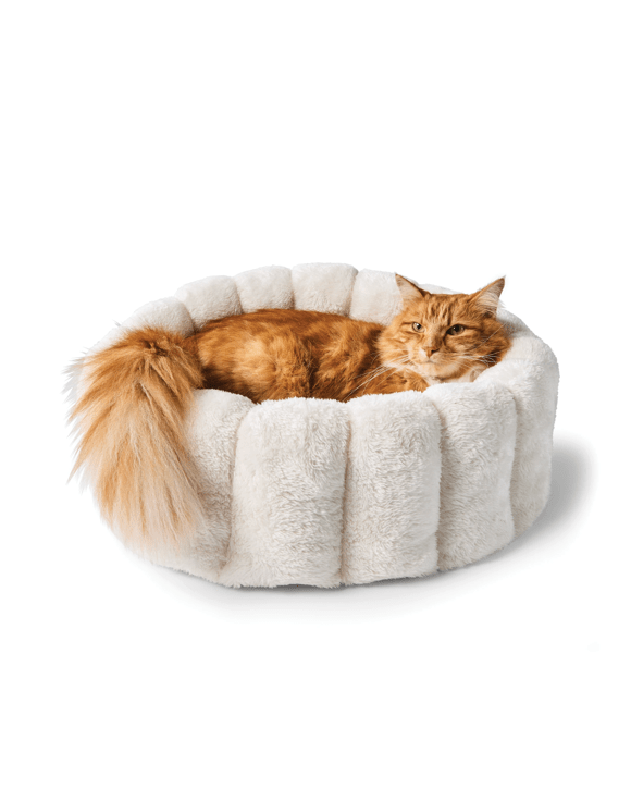 Cat Snuggle Bed Cloud