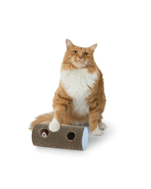Cat Scratcher Roll with Ball