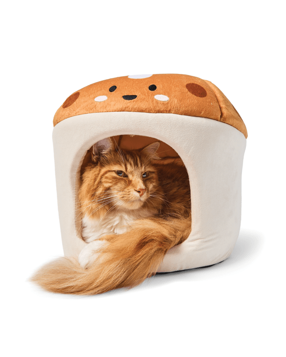 Cat Easter Hot Cross Bun Cave
