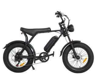 Fortis FatBoy 48V Fat Tyre Electric Bike Product Image