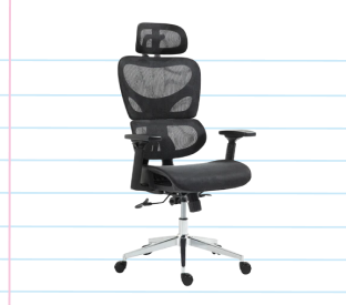 Ergolux EZ11 Ergonomic Office Chair with Dynamic Lumbar Support Product Image