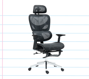 Ergolux EZ11 Ergonomic Office Chair with Dynamic Lumbar Support and Footrest Product Image