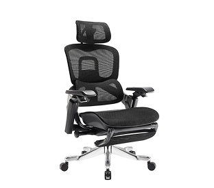 Ergolux Elite Ergonomic Mesh Office Chair with Footrest (Black) Product Image