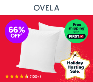 Set of 2 Ovela Microfibre European Pillows Product Image