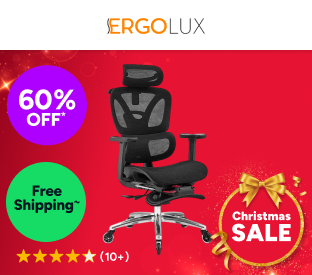 Ergolux Pro Ergonomic Mesh Office Chair with Footrest (Black) Product Image