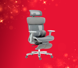 Ergolux Pro Max Ergonomic Mesh Office Chair with Footrest (Grey) Product Image