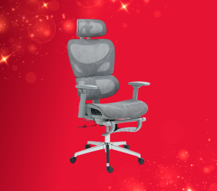 Ergolux Plus Ergonomic Office Chair with Footrest (Grey) Product Image
