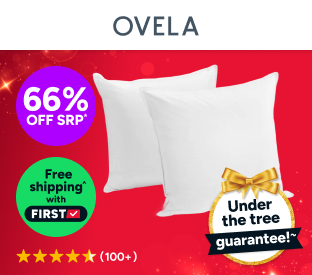 Set of 2 Ovela Microfibre European Pillows Product Image