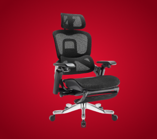 Ergolux Elite Ergonomic Mesh Office Chair with Footrest (Black) Product Image
