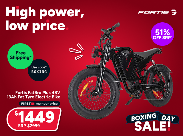 Fortis FatBro Plus 48V 13Ah Fat Tyre Electric Bike