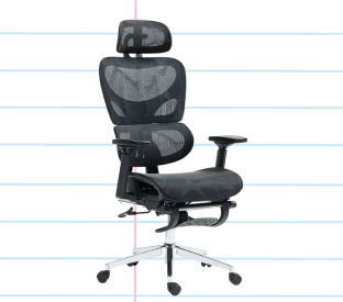 Ergolux Plus Ergonomic Mesh Office Chair with Footrest (Black) Product Image
