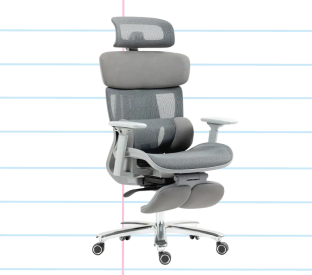 Ergolux Pro Max Ergonomic Mesh Office Chair with Footrest (Grey) Product Image