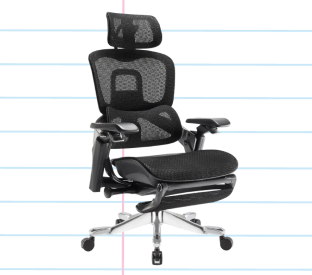 Ergolux Elite Ergonomic Mesh Office Chair with Footrest (Black) Product Image