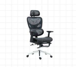 Ergolux Plus Ergonomic Mesh Office Chair with Footrest (Black) Product Image