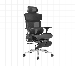 Ergolux Pro Max Ergonomic Mesh Office Chair with Footrest (Black) Product Image