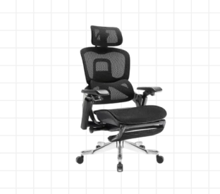 Ergolux Elite Ergonomic Mesh Office Chair with Footrest (Black) Product Image