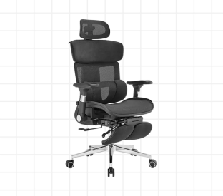 Ergolux Pro Max Ergonomic Mesh Office Chair with Footrest Product Image