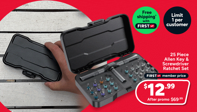 25 Piece Allen Key and Screwdriver Ratchet Set