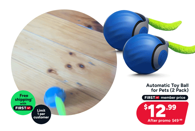 Automatic Toy Ball for Pets (2 Pack)
