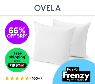 Set of 2 Ovela Microfibre European Pillows Product Image
