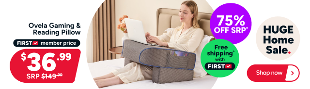 Ovela Gaming & Reading Pillow