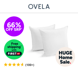 Set of 2 Ovela Microfibre European Pillows Product Image