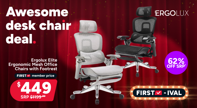 Ergolux Elite Ergonomic Mesh Office Chair with Footrest - $449*