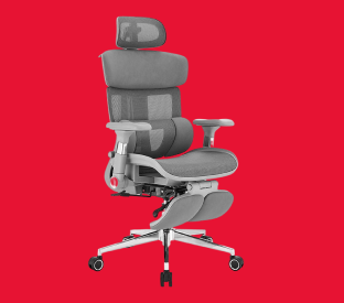 Ergolux Pro Max Ergonomic Mesh Office Chair with Footrest Product Image