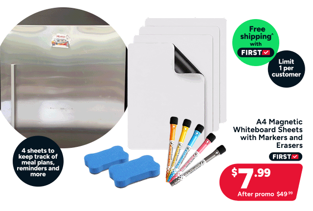 A4 Magnetic Whiteboard Sheets with Markers and Erasers