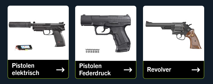 Linkgrafik zum Sortiment 2