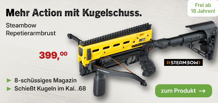 Linkgrafik zu Produkt Steambow