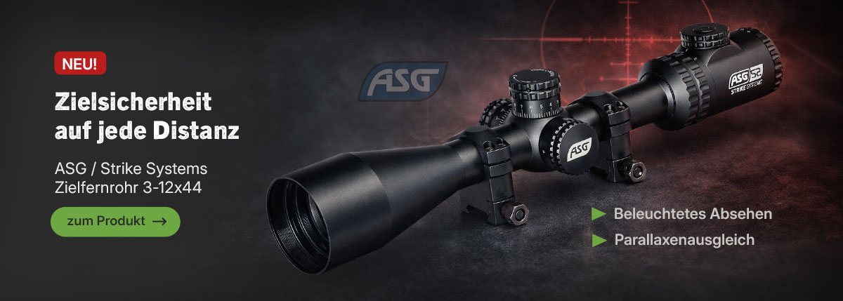 Linkgrafik zu ASG ZF