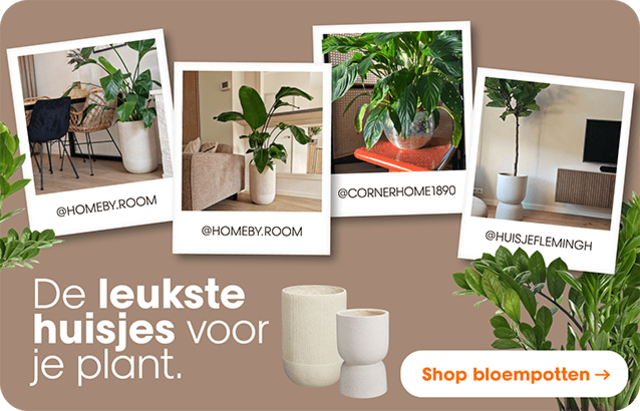 Bloempotten