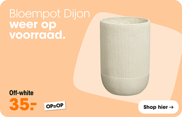 Djion bloempot