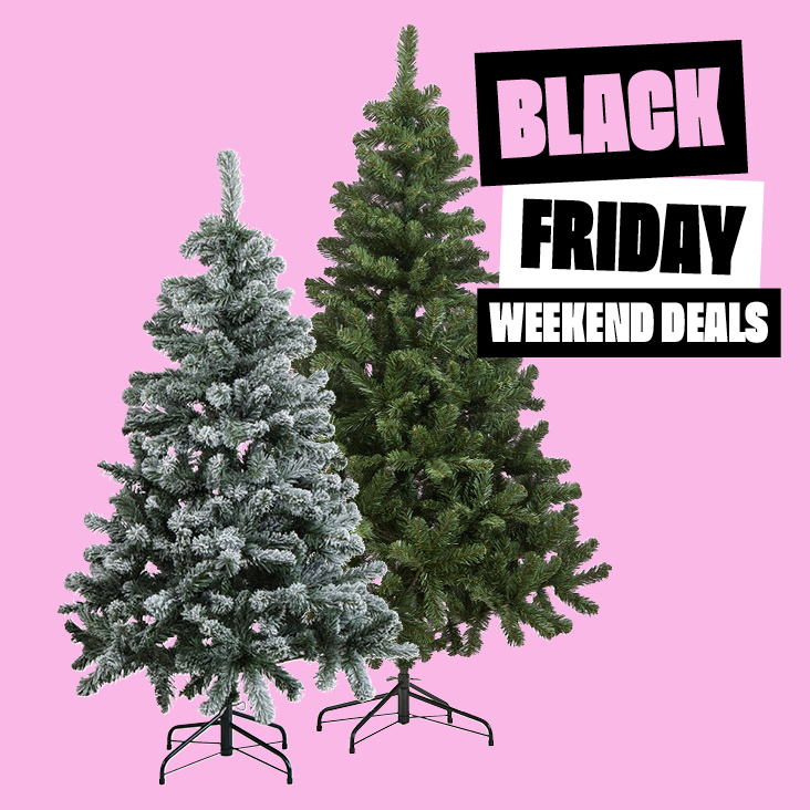 20% korting op alle kerstbomen