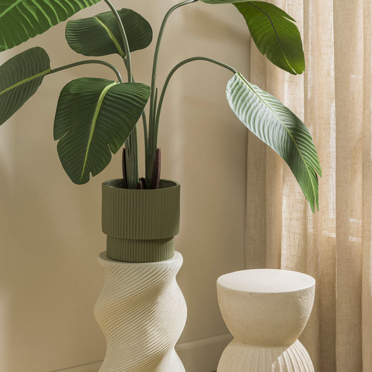 Kerstboom eruit, plant erin! 