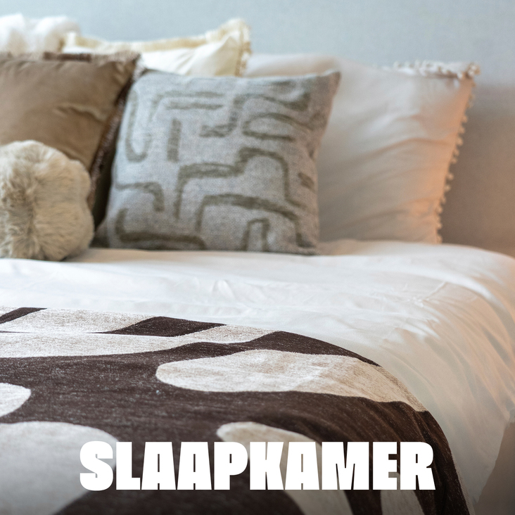 Slaapkemer