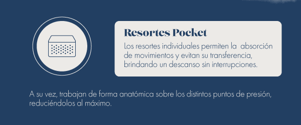 30% extra abonando con transferencia, débito y crédito en 1 pago. + 15% extra abonando en 6 cuotas sin interés.
