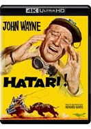 Hatari!