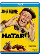 Hatari!