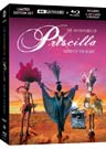 Adventures of Priscilla, The: Queen of the Desert (Limited Edition) (4K UHD & Blu-ray)