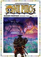 One Piece: Season 14 - Voyage 2