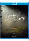 Sometimes I Think About Dying (Blu-ray)