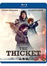 Thicket, The (Blu-ray)